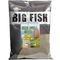 Big Fish - Green Lipped...
