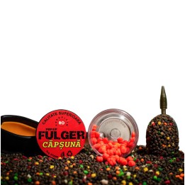 FULGER POP-UP CAPSUNA