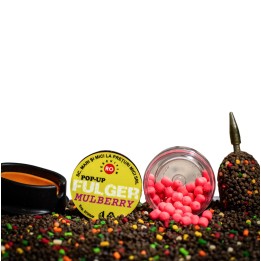 FULGER POP-UP Dumbells DUDE (Mulberry)