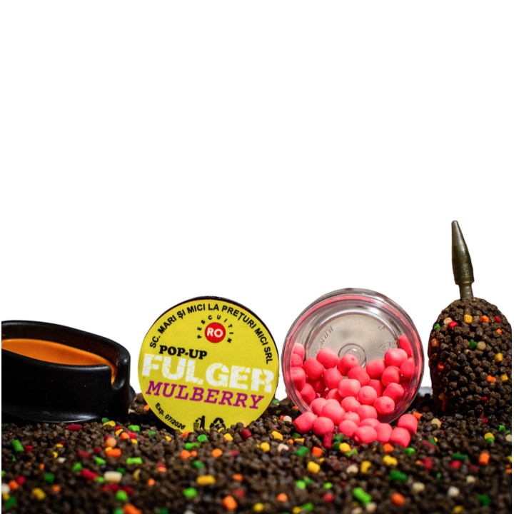 FULGER POP-UP Dumbells DUDE (Mulberry)