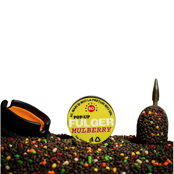 FULGER POP-UP Dumbells DUDE (Mulberry)