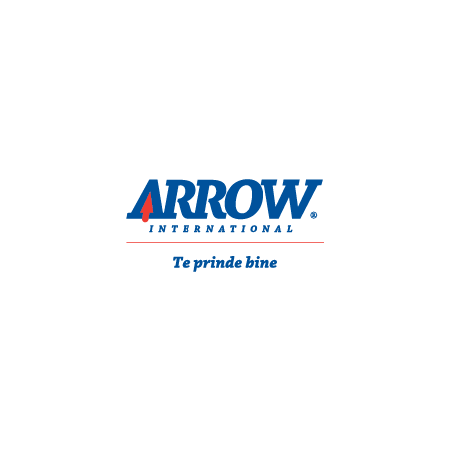 Arrow International